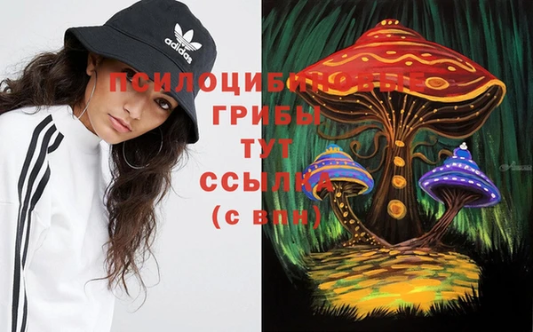 не бодяженный Алзамай