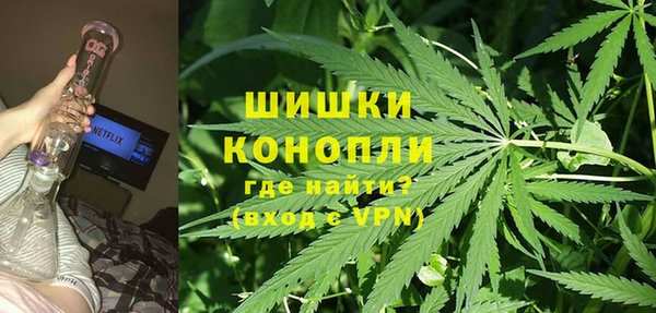 прущая мука Арсеньев