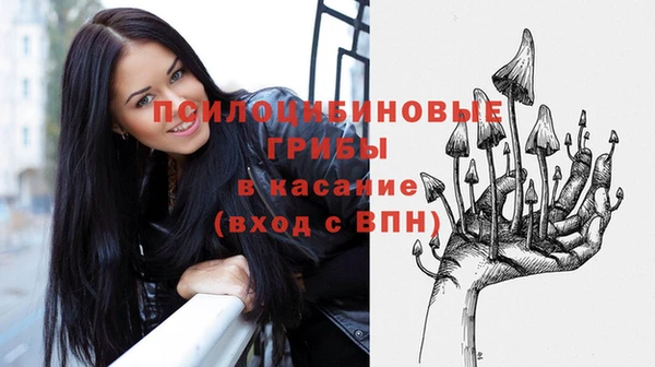не бодяженный Алзамай