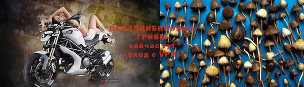 прущая мука Арсеньев