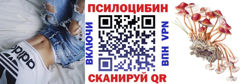 Галлюциногенные грибы мухоморы наркошоп Ростов